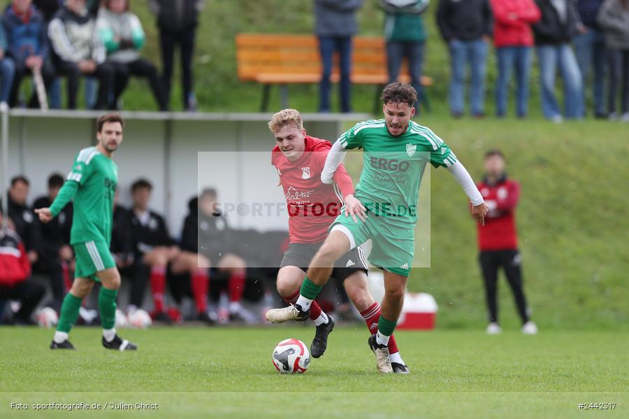 Sportgelände, Birkenfeld, 03.10.2024, sport, action, Fussball, BFV, 12. Spieltag, Bezirksliga Unterfranken West, SVK, SVB, SV Kürnach, SV Birkenfeld - Bild-ID: 2442317