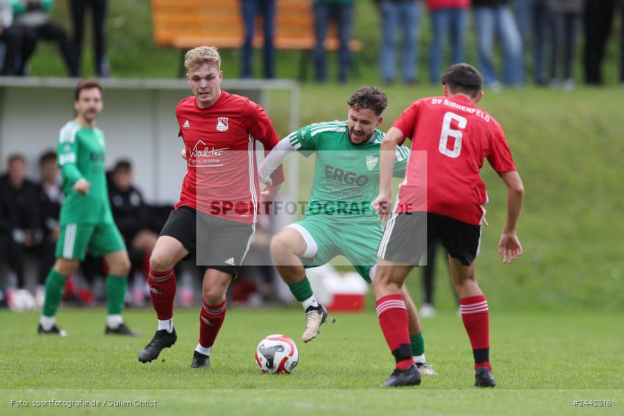 Sportgelände, Birkenfeld, 03.10.2024, sport, action, Fussball, BFV, 12. Spieltag, Bezirksliga Unterfranken West, SVK, SVB, SV Kürnach, SV Birkenfeld - Bild-ID: 2442318