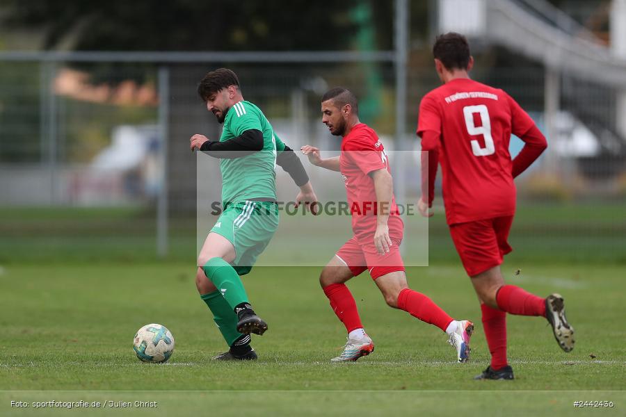Sportgelände, Karlstadt, 03.10.2024, sport, action, Fussball, BFV, Kreisliga Würzburg Gr. 2, 12. Spieltag, FVGS, FVK, FV Gemünden/Seifriedsburg, FV Karlstadt - Bild-ID: 2442436