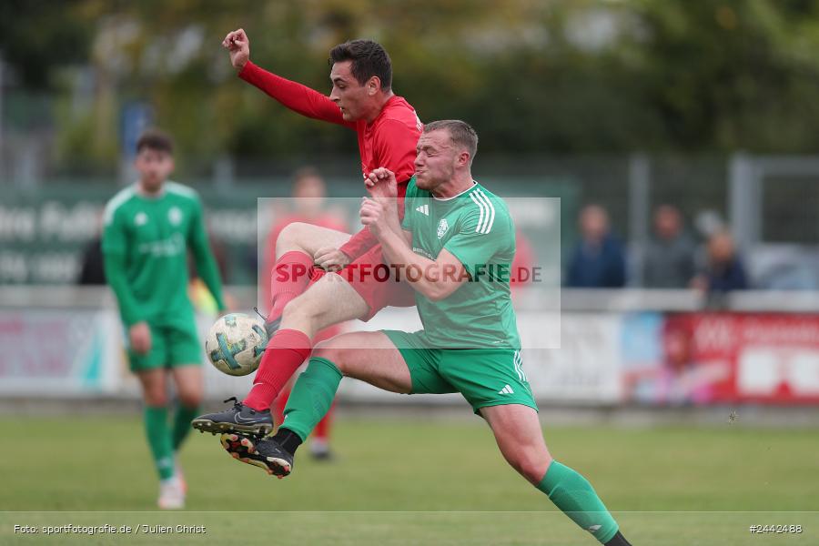 Sportgelände, Karlstadt, 03.10.2024, sport, action, Fussball, BFV, Kreisliga Würzburg Gr. 2, 12. Spieltag, FVGS, FVK, FV Gemünden/Seifriedsburg, FV Karlstadt - Bild-ID: 2442488
