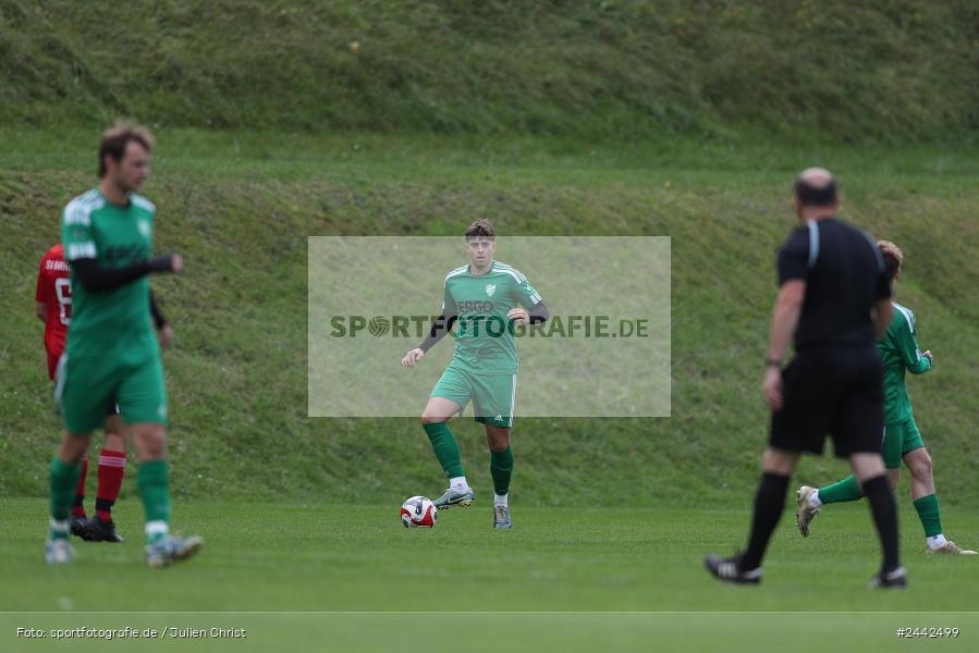Sportgelände, Birkenfeld, 03.10.2024, sport, action, Fussball, BFV, 12. Spieltag, Bezirksliga Unterfranken West, SVK, SVB, SV Kürnach, SV Birkenfeld - Bild-ID: 2442499