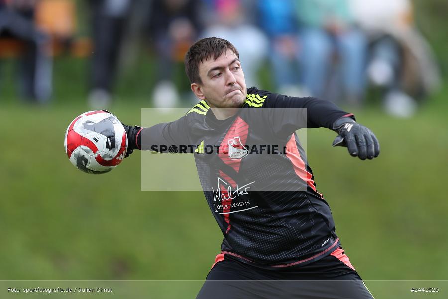 Sportgelände, Birkenfeld, 03.10.2024, sport, action, Fussball, BFV, 12. Spieltag, Bezirksliga Unterfranken West, SVK, SVB, SV Kürnach, SV Birkenfeld - Bild-ID: 2442520