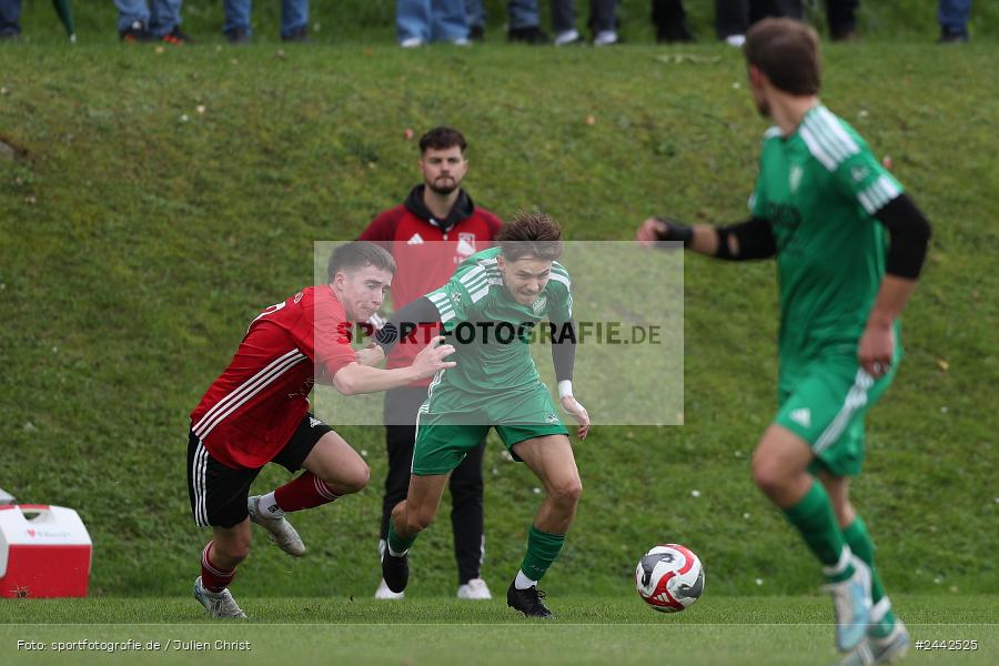Sportgelände, Birkenfeld, 03.10.2024, sport, action, Fussball, BFV, 12. Spieltag, Bezirksliga Unterfranken West, SVK, SVB, SV Kürnach, SV Birkenfeld - Bild-ID: 2442525