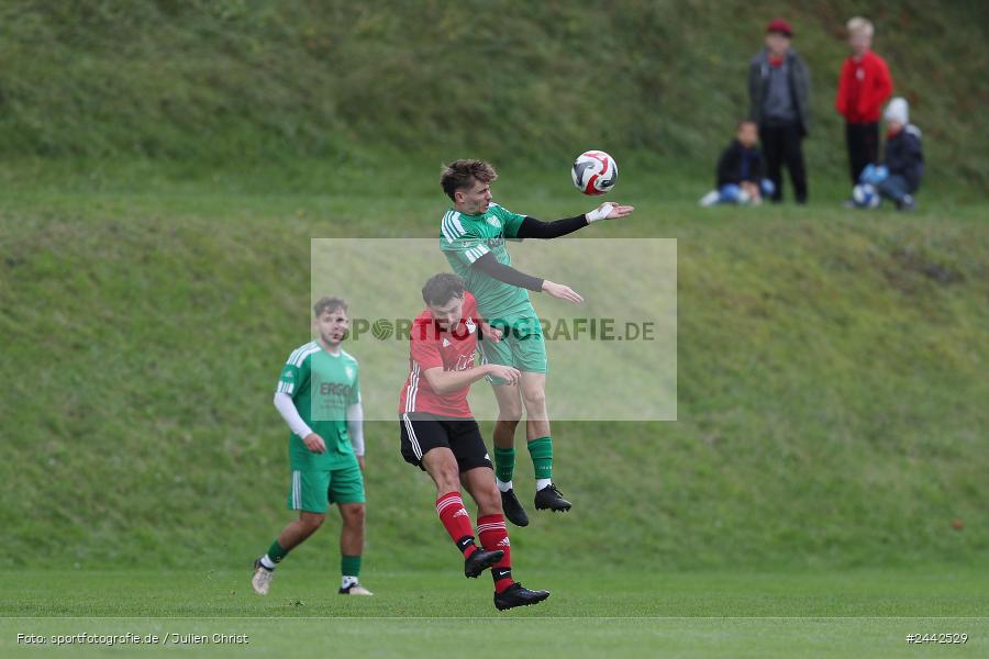 Sportgelände, Birkenfeld, 03.10.2024, sport, action, Fussball, BFV, 12. Spieltag, Bezirksliga Unterfranken West, SVK, SVB, SV Kürnach, SV Birkenfeld - Bild-ID: 2442529
