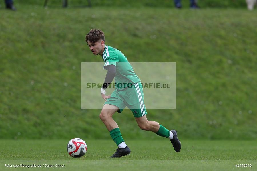 Sportgelände, Birkenfeld, 03.10.2024, sport, action, Fussball, BFV, 12. Spieltag, Bezirksliga Unterfranken West, SVK, SVB, SV Kürnach, SV Birkenfeld - Bild-ID: 2442540