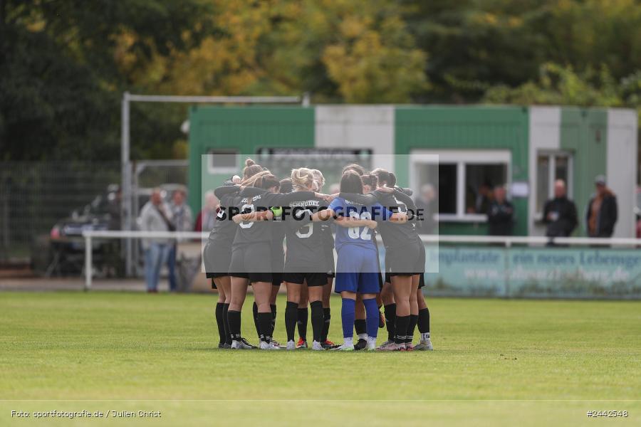 sport, hiscox-Bezirkspokal, action, Sportgelände, Karlstadt, Fussball, FVK, FV Karlstadt, FCS, BFV, 2. Runde, 1. FC Schweinfurt, 03.10.2024 - Bild-ID: 2442548