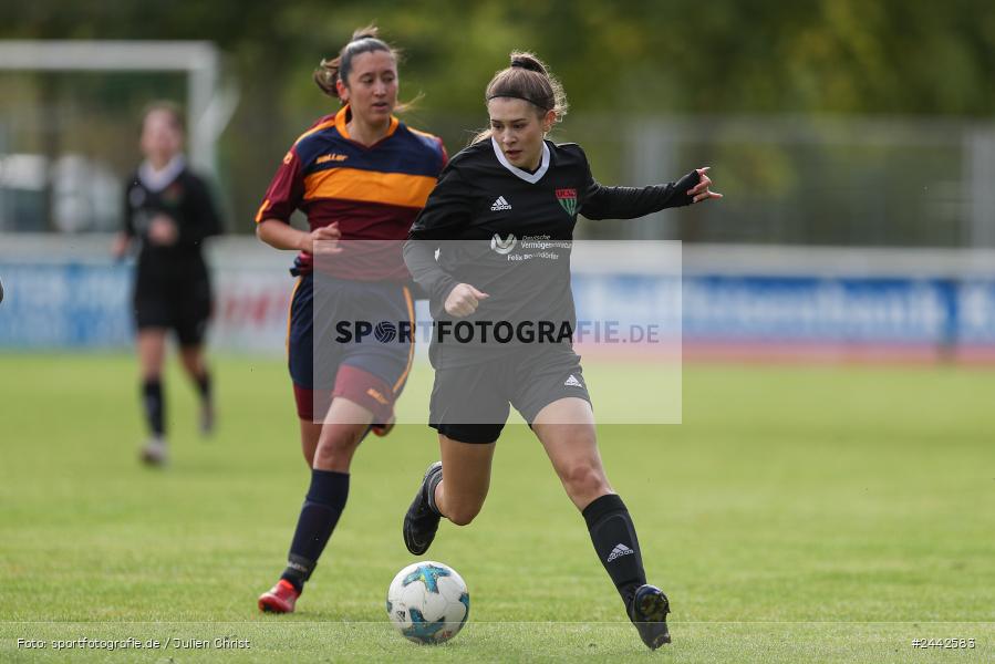 sport, hiscox-Bezirkspokal, action, Sportgelände, Karlstadt, Fussball, FVK, FV Karlstadt, FCS, BFV, 2. Runde, 1. FC Schweinfurt, 03.10.2024 - Bild-ID: 2442583