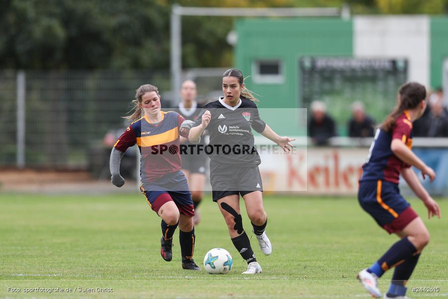 sport, hiscox-Bezirkspokal, action, Sportgelände, Karlstadt, Fussball, FVK, FV Karlstadt, FCS, BFV, 2. Runde, 1. FC Schweinfurt, 03.10.2024 - Bild-ID: 2442615 sport, hiscox-Bezirkspokal, action, Sportgelände, Karlstadt, Fussball, FVK, FV Karlstadt, FCS, BFV, 2. Runde, 1. FC Schweinfurt, 03.10.2024 - Bild-ID: 2442615