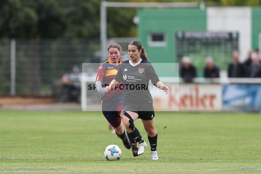 sport, hiscox-Bezirkspokal, action, Sportgelände, Karlstadt, Fussball, FVK, FV Karlstadt, FCS, BFV, 2. Runde, 1. FC Schweinfurt, 03.10.2024 - Bild-ID: 2442616 sport, hiscox-Bezirkspokal, action, Sportgelände, Karlstadt, Fussball, FVK, FV Karlstadt, FCS, BFV, 2. Runde, 1. FC Schweinfurt, 03.10.2024 - Bild-ID: 2442616