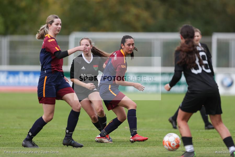 sport, hiscox-Bezirkspokal, action, Sportgelände, Karlstadt, Fussball, FVK, FV Karlstadt, FCS, BFV, 2. Runde, 1. FC Schweinfurt, 03.10.2024 - Bild-ID: 2442636 sport, hiscox-Bezirkspokal, action, Sportgelände, Karlstadt, Fussball, FVK, FV Karlstadt, FCS, BFV, 2. Runde, 1. FC Schweinfurt, 03.10.2024 - Bild-ID: 2442636