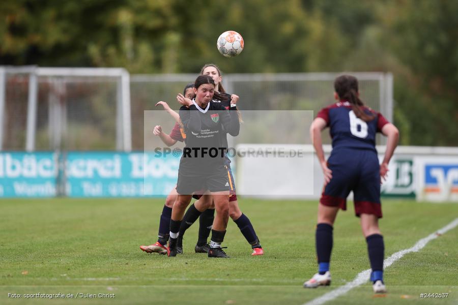 sport, hiscox-Bezirkspokal, action, Sportgelände, Karlstadt, Fussball, FVK, FV Karlstadt, FCS, BFV, 2. Runde, 1. FC Schweinfurt, 03.10.2024 - Bild-ID: 2442637