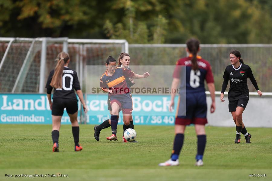 sport, hiscox-Bezirkspokal, action, Sportgelände, Karlstadt, Fussball, FVK, FV Karlstadt, FCS, BFV, 2. Runde, 1. FC Schweinfurt, 03.10.2024 - Bild-ID: 2442638 sport, hiscox-Bezirkspokal, action, Sportgelände, Karlstadt, Fussball, FVK, FV Karlstadt, FCS, BFV, 2. Runde, 1. FC Schweinfurt, 03.10.2024 - Bild-ID: 2442638