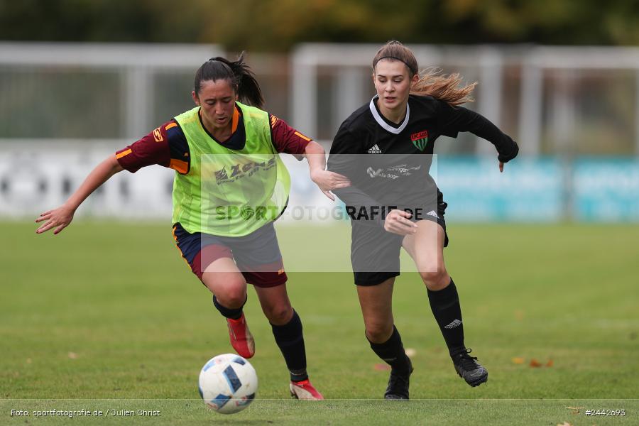 sport, hiscox-Bezirkspokal, action, Sportgelände, Karlstadt, Fussball, FVK, FV Karlstadt, FCS, BFV, 2. Runde, 1. FC Schweinfurt, 03.10.2024 - Bild-ID: 2442693
