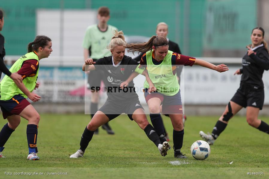 sport, hiscox-Bezirkspokal, action, Sportgelände, Karlstadt, Fussball, FVK, FV Karlstadt, FCS, BFV, 2. Runde, 1. FC Schweinfurt, 03.10.2024 - Bild-ID: 2442701