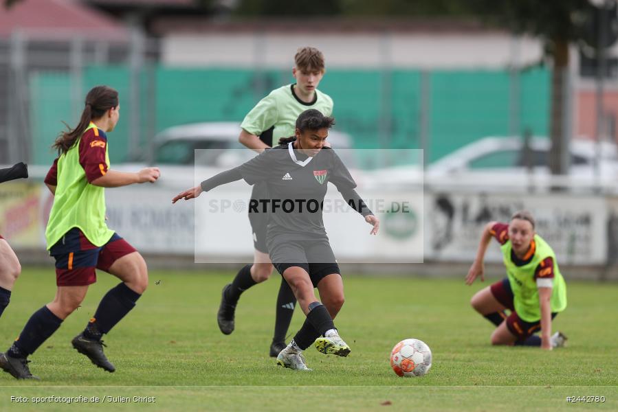 sport, hiscox-Bezirkspokal, action, Sportgelände, Karlstadt, Fussball, FVK, FV Karlstadt, FCS, BFV, 2. Runde, 1. FC Schweinfurt, 03.10.2024 - Bild-ID: 2442780 sport, hiscox-Bezirkspokal, action, Sportgelände, Karlstadt, Fussball, FVK, FV Karlstadt, FCS, BFV, 2. Runde, 1. FC Schweinfurt, 03.10.2024 - Bild-ID: 2442780