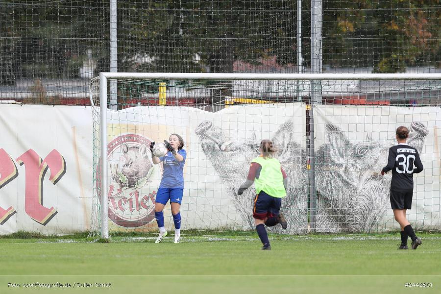 sport, hiscox-Bezirkspokal, action, Sportgelände, Karlstadt, Fussball, FVK, FV Karlstadt, FCS, BFV, 2. Runde, 1. FC Schweinfurt, 03.10.2024 - Bild-ID: 2442801