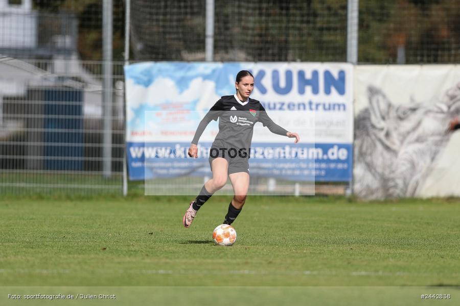 sport, hiscox-Bezirkspokal, action, Sportgelände, Karlstadt, Fussball, FVK, FV Karlstadt, FCS, BFV, 2. Runde, 1. FC Schweinfurt, 03.10.2024 - Bild-ID: 2442838