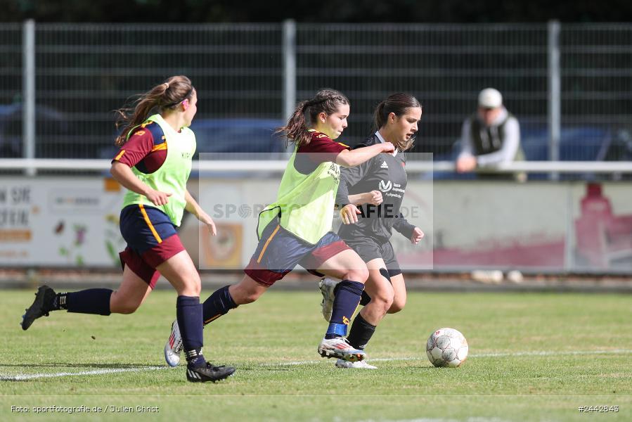 sport, hiscox-Bezirkspokal, action, Sportgelände, Karlstadt, Fussball, FVK, FV Karlstadt, FCS, BFV, 2. Runde, 1. FC Schweinfurt, 03.10.2024 - Bild-ID: 2442843 sport, hiscox-Bezirkspokal, action, Sportgelände, Karlstadt, Fussball, FVK, FV Karlstadt, FCS, BFV, 2. Runde, 1. FC Schweinfurt, 03.10.2024 - Bild-ID: 2442843