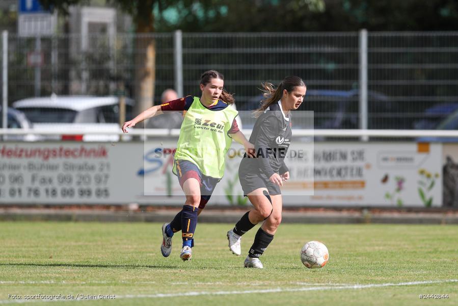sport, hiscox-Bezirkspokal, action, Sportgelände, Karlstadt, Fussball, FVK, FV Karlstadt, FCS, BFV, 2. Runde, 1. FC Schweinfurt, 03.10.2024 - Bild-ID: 2442844 sport, hiscox-Bezirkspokal, action, Sportgelände, Karlstadt, Fussball, FVK, FV Karlstadt, FCS, BFV, 2. Runde, 1. FC Schweinfurt, 03.10.2024 - Bild-ID: 2442844
