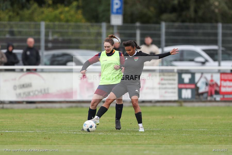 sport, hiscox-Bezirkspokal, action, Sportgelände, Karlstadt, Fussball, FVK, FV Karlstadt, FCS, BFV, 2. Runde, 1. FC Schweinfurt, 03.10.2024 - Bild-ID: 2442857 sport, hiscox-Bezirkspokal, action, Sportgelände, Karlstadt, Fussball, FVK, FV Karlstadt, FCS, BFV, 2. Runde, 1. FC Schweinfurt, 03.10.2024 - Bild-ID: 2442857