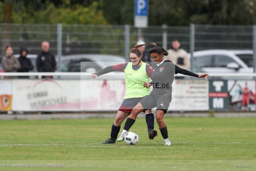 sport, hiscox-Bezirkspokal, action, Sportgelände, Karlstadt, Fussball, FVK, FV Karlstadt, FCS, BFV, 2. Runde, 1. FC Schweinfurt, 03.10.2024 - Bild-ID: 2442858