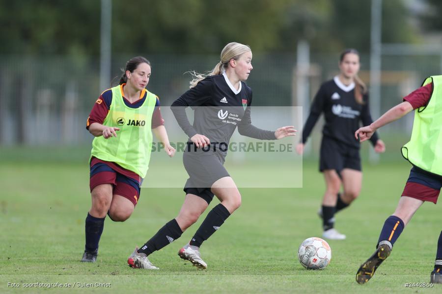 sport, hiscox-Bezirkspokal, action, Sportgelände, Karlstadt, Fussball, FVK, FV Karlstadt, FCS, BFV, 2. Runde, 1. FC Schweinfurt, 03.10.2024 - Bild-ID: 2442866