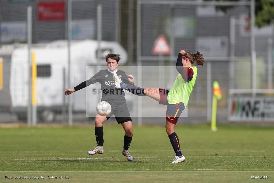 sport, hiscox-Bezirkspokal, action, Sportgelände, Karlstadt, Fussball, FVK, FV Karlstadt, FCS, BFV, 2. Runde, 1. FC Schweinfurt, 03.10.2024 - Bild-ID: 2442880