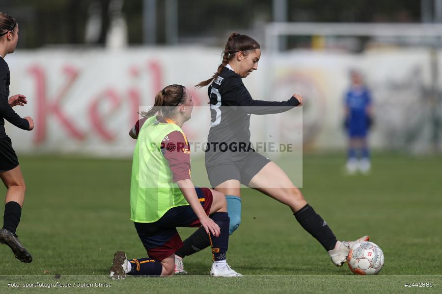 sport, hiscox-Bezirkspokal, action, Sportgelände, Karlstadt, Fussball, FVK, FV Karlstadt, FCS, BFV, 2. Runde, 1. FC Schweinfurt, 03.10.2024 - Bild-ID: 2442886 sport, hiscox-Bezirkspokal, action, Sportgelände, Karlstadt, Fussball, FVK, FV Karlstadt, FCS, BFV, 2. Runde, 1. FC Schweinfurt, 03.10.2024 - Bild-ID: 2442886