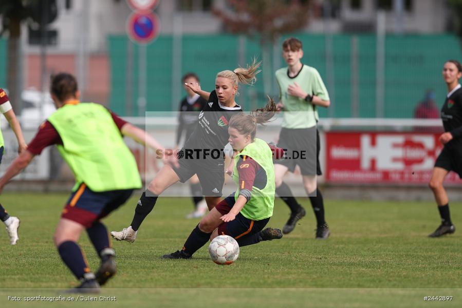 sport, hiscox-Bezirkspokal, action, Sportgelände, Karlstadt, Fussball, FVK, FV Karlstadt, FCS, BFV, 2. Runde, 1. FC Schweinfurt, 03.10.2024 - Bild-ID: 2442897 sport, hiscox-Bezirkspokal, action, Sportgelände, Karlstadt, Fussball, FVK, FV Karlstadt, FCS, BFV, 2. Runde, 1. FC Schweinfurt, 03.10.2024 - Bild-ID: 2442897