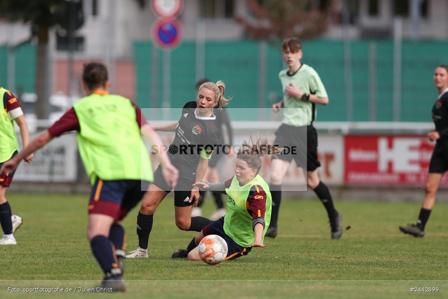 sport, hiscox-Bezirkspokal, action, Sportgelände, Karlstadt, Fussball, FVK, FV Karlstadt, FCS, BFV, 2. Runde, 1. FC Schweinfurt, 03.10.2024 - Bild-ID: 2442899