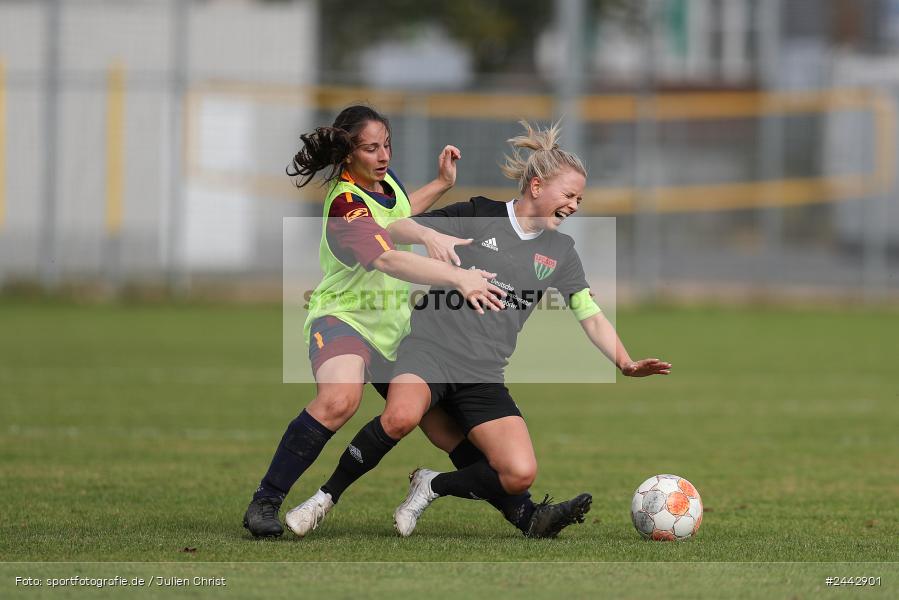 sport, hiscox-Bezirkspokal, action, Sportgelände, Karlstadt, Fussball, FVK, FV Karlstadt, FCS, BFV, 2. Runde, 1. FC Schweinfurt, 03.10.2024 - Bild-ID: 2442901 sport, hiscox-Bezirkspokal, action, Sportgelände, Karlstadt, Fussball, FVK, FV Karlstadt, FCS, BFV, 2. Runde, 1. FC Schweinfurt, 03.10.2024 - Bild-ID: 2442901