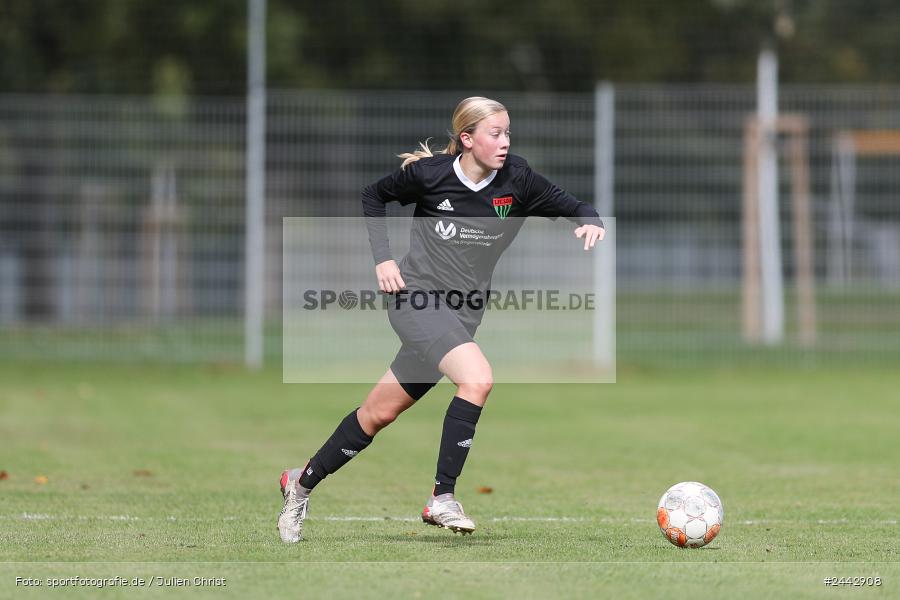 sport, hiscox-Bezirkspokal, action, Sportgelände, Karlstadt, Fussball, FVK, FV Karlstadt, FCS, BFV, 2. Runde, 1. FC Schweinfurt, 03.10.2024 - Bild-ID: 2442908 sport, hiscox-Bezirkspokal, action, Sportgelände, Karlstadt, Fussball, FVK, FV Karlstadt, FCS, BFV, 2. Runde, 1. FC Schweinfurt, 03.10.2024 - Bild-ID: 2442908