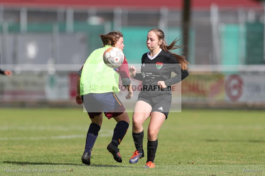 sport, hiscox-Bezirkspokal, action, Sportgelände, Karlstadt, Fussball, FVK, FV Karlstadt, FCS, BFV, 2. Runde, 1. FC Schweinfurt, 03.10.2024 - Bild-ID: 2442946