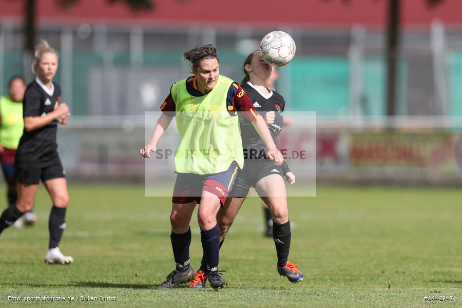 sport, hiscox-Bezirkspokal, action, Sportgelände, Karlstadt, Fussball, FVK, FV Karlstadt, FCS, BFV, 2. Runde, 1. FC Schweinfurt, 03.10.2024 - Bild-ID: 2442947 sport, hiscox-Bezirkspokal, action, Sportgelände, Karlstadt, Fussball, FVK, FV Karlstadt, FCS, BFV, 2. Runde, 1. FC Schweinfurt, 03.10.2024 - Bild-ID: 2442947