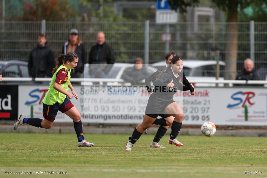 sport, hiscox-Bezirkspokal, action, Sportgelände, Karlstadt, Fussball, FVK, FV Karlstadt, FCS, BFV, 2. Runde, 1. FC Schweinfurt, 03.10.2024 - Bild-ID: 2442950 sport, hiscox-Bezirkspokal, action, Sportgelände, Karlstadt, Fussball, FVK, FV Karlstadt, FCS, BFV, 2. Runde, 1. FC Schweinfurt, 03.10.2024 - Bild-ID: 2442950
