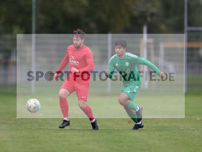 Bild-ID: 2442401