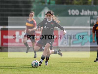Bild-ID: 2442554