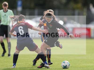 Bild-ID: 2442564