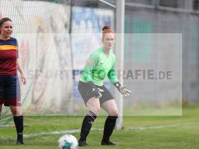 Bild-ID: 2442596
