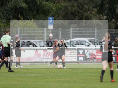 Bild-ID: 2442632
