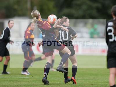 Bild-ID: 2442635