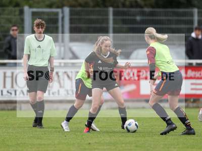 Bild-ID: 2442656