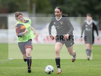 Bild-ID: 2442733