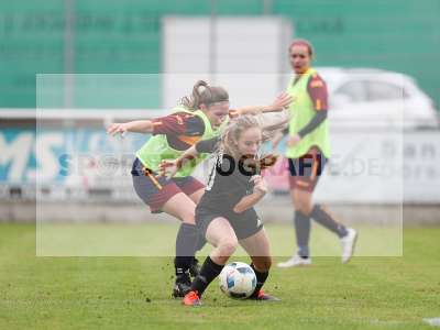 Bild-ID: 2442740