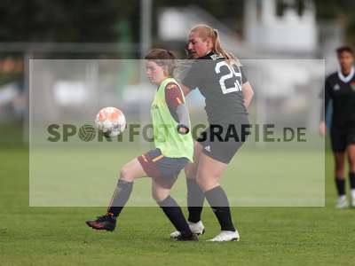 Bild-ID: 2442768