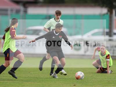 Bild-ID: 2442780
