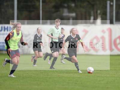 Bild-ID: 2442786