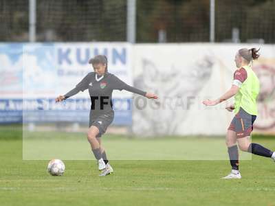 Bild-ID: 2442802