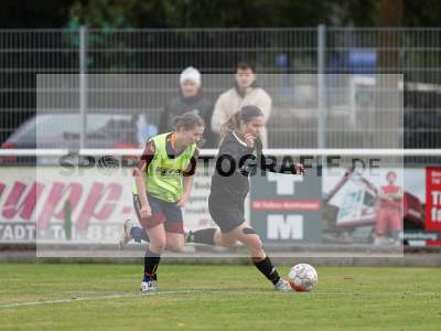 Bild-ID: 2442812