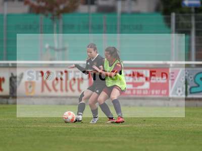 Bild-ID: 2442816